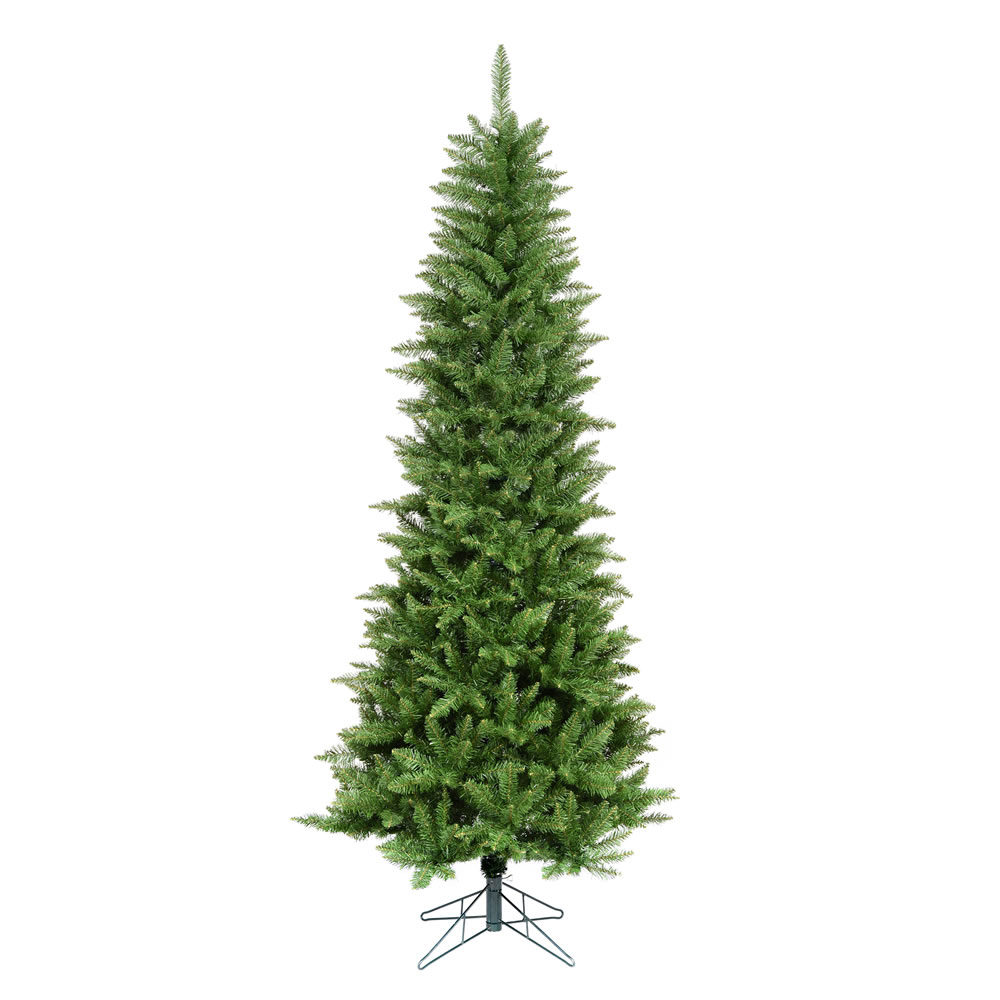 Search 12 foot tree