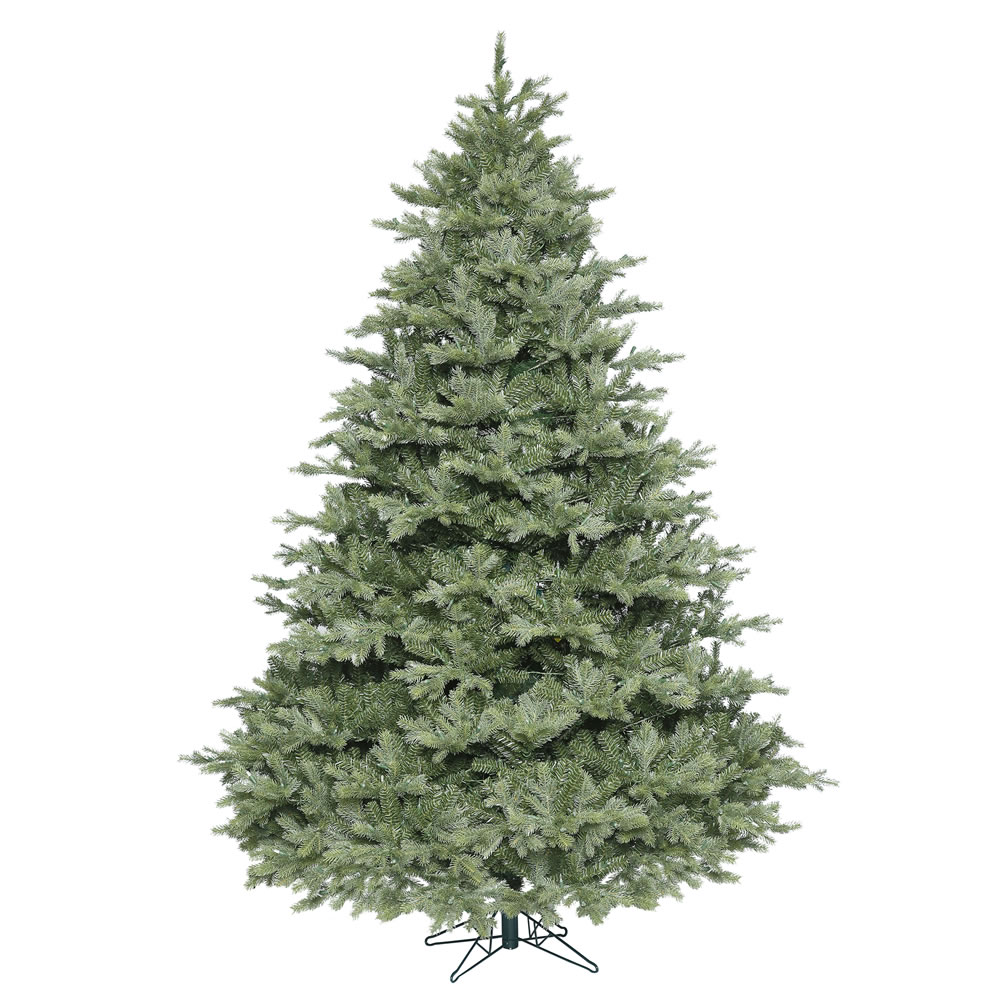Search 12 foot tree