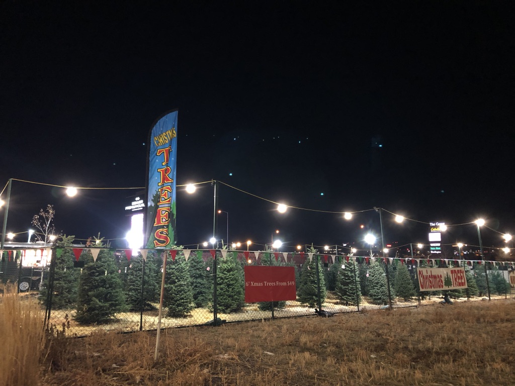 Gallery Best Christmas Tree Lot Denver Neighborhood Christmas Tree