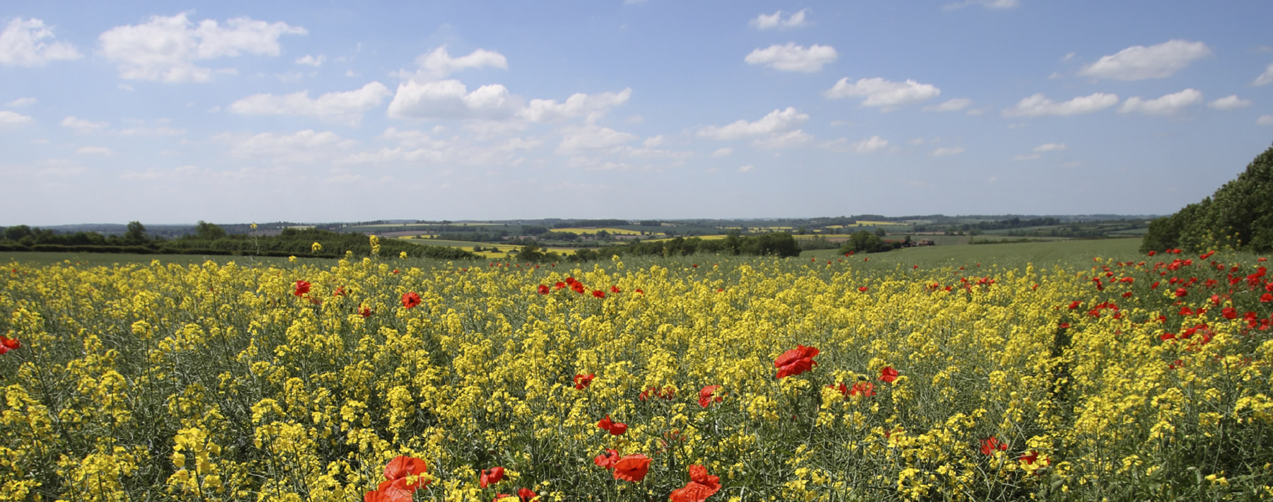 Residential Sales and Letting Agents in Aylesbury and Wendover with