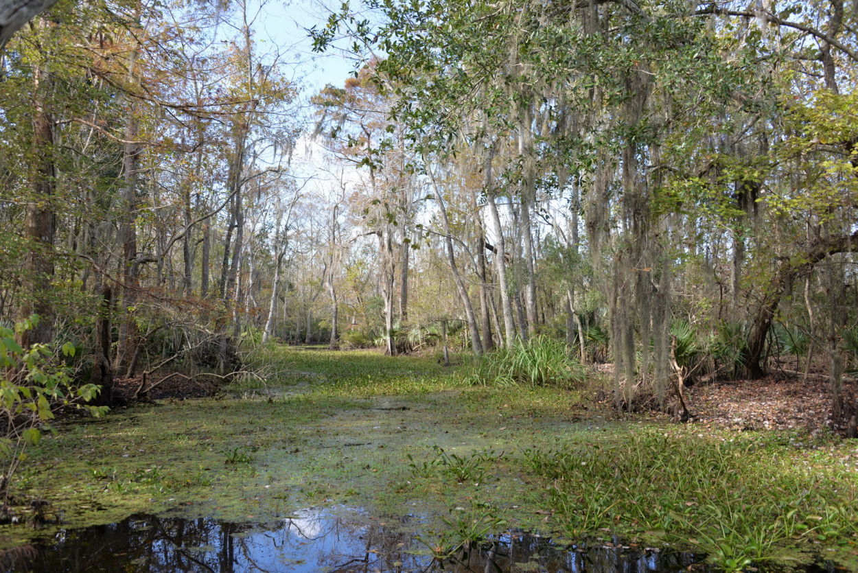 Jean Lafitte National Historical Park and Reserve Christopher Ryan