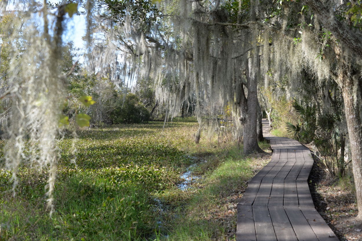 Jean Lafitte National Historical Park and Reserve Christopher Ryan