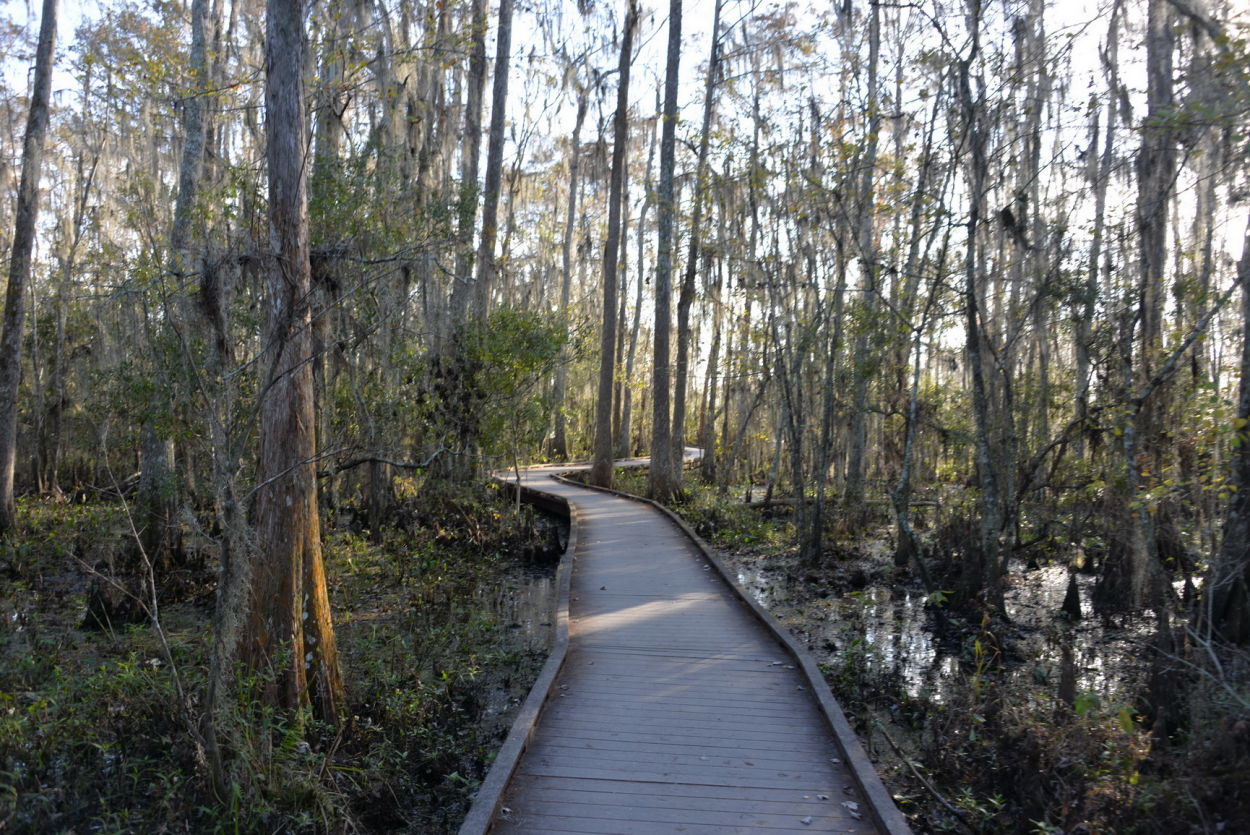 Jean Lafitte National Historical Park and Reserve Christopher Ryan
