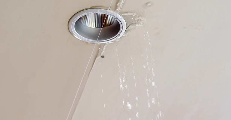 Seaside Water Leak Detector & Plumbing Water Pipe Leak Detection