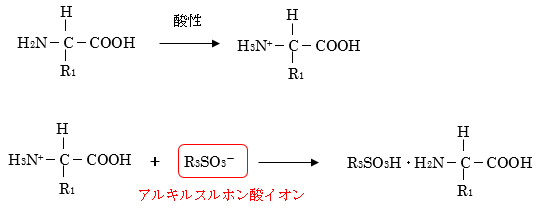 公開講座 > HPLC基礎講座｜クロムソードジャパン株式会社－HPLCの自動メソッド開発ソフトウェア