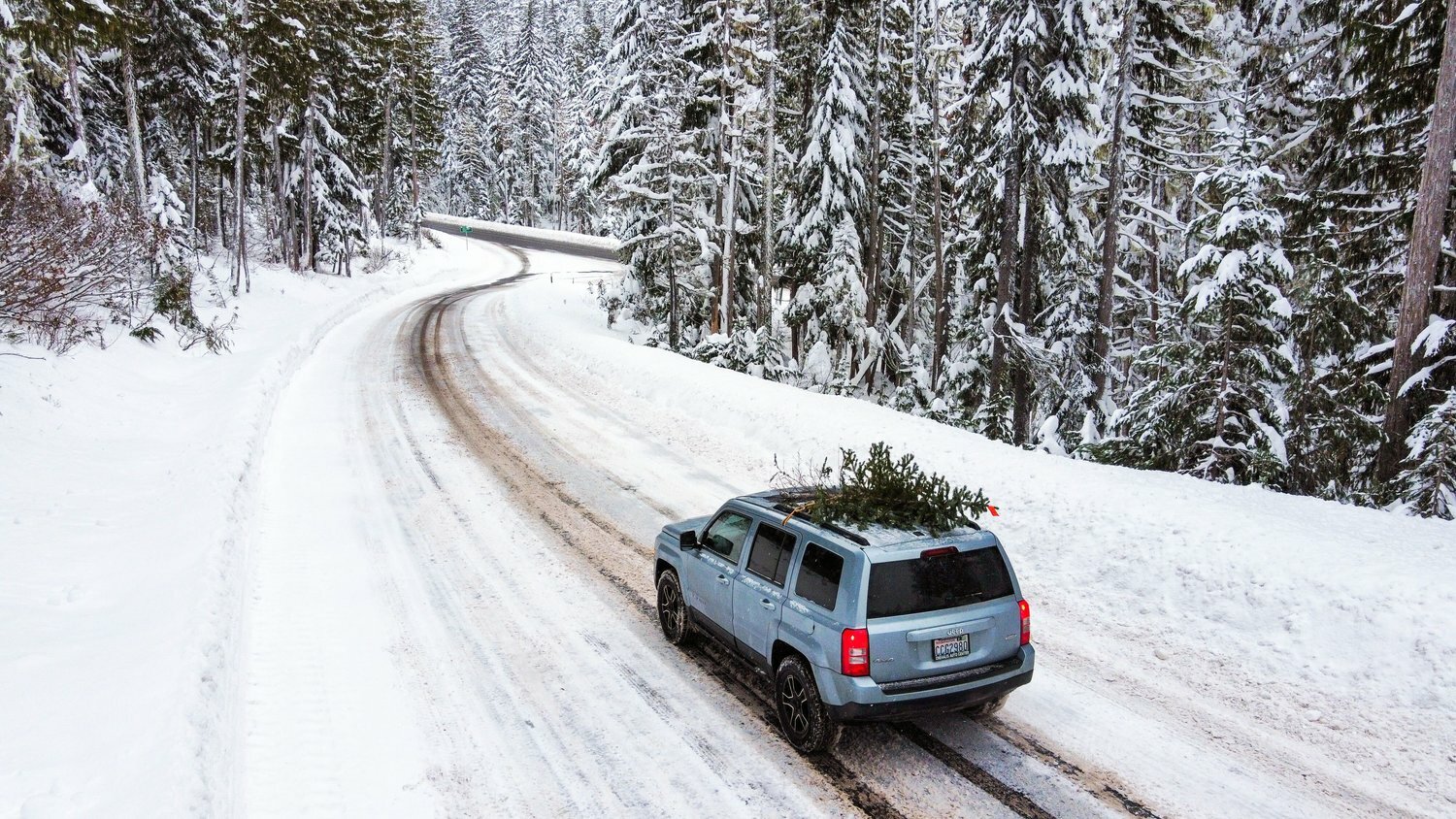 Christmas tree permits will soon be available for the Gifford Pinchot