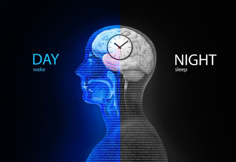 Body Temperature Rhythms Change With Age Here's How it Affects Your