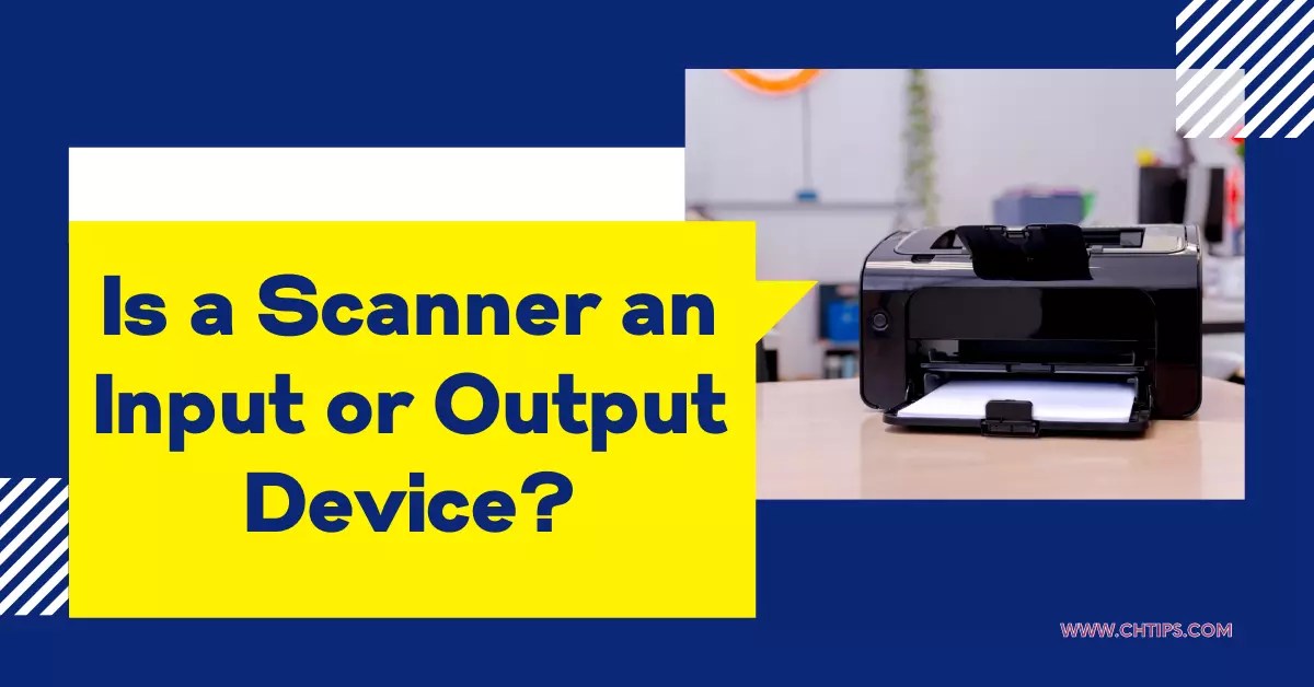 Is A Scanner An Input Or Output Devices