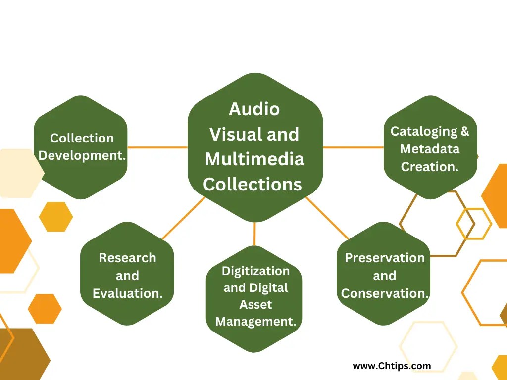 How Audio Visual And Multimedia Collections Specialists Shape The
