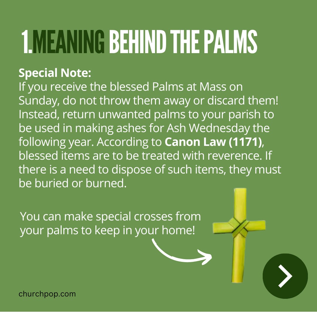 Dispose Of Blessed Palms Flash Sales head.hesge.ch