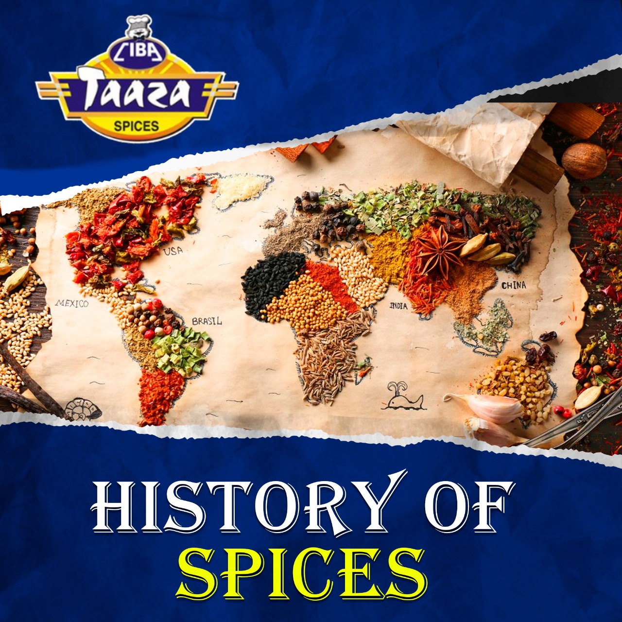 History of Spices Ciba Taaza Spices Buy Spices Online