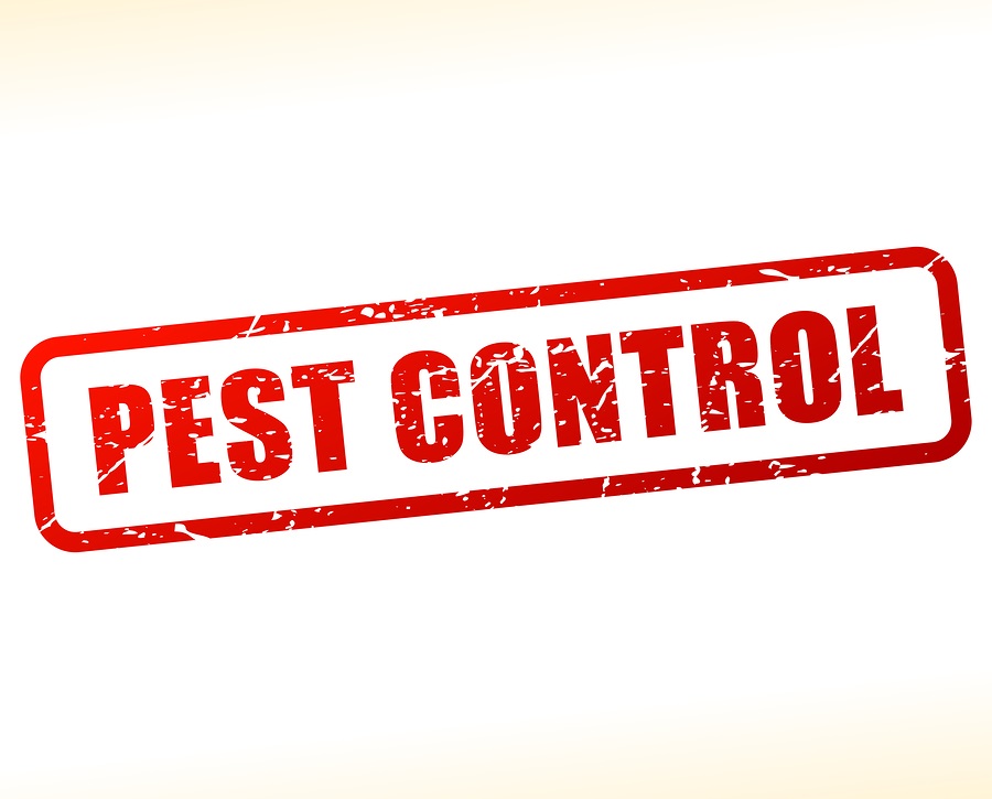 Pest Control Business for Sale SW Florida Business Sale Experts