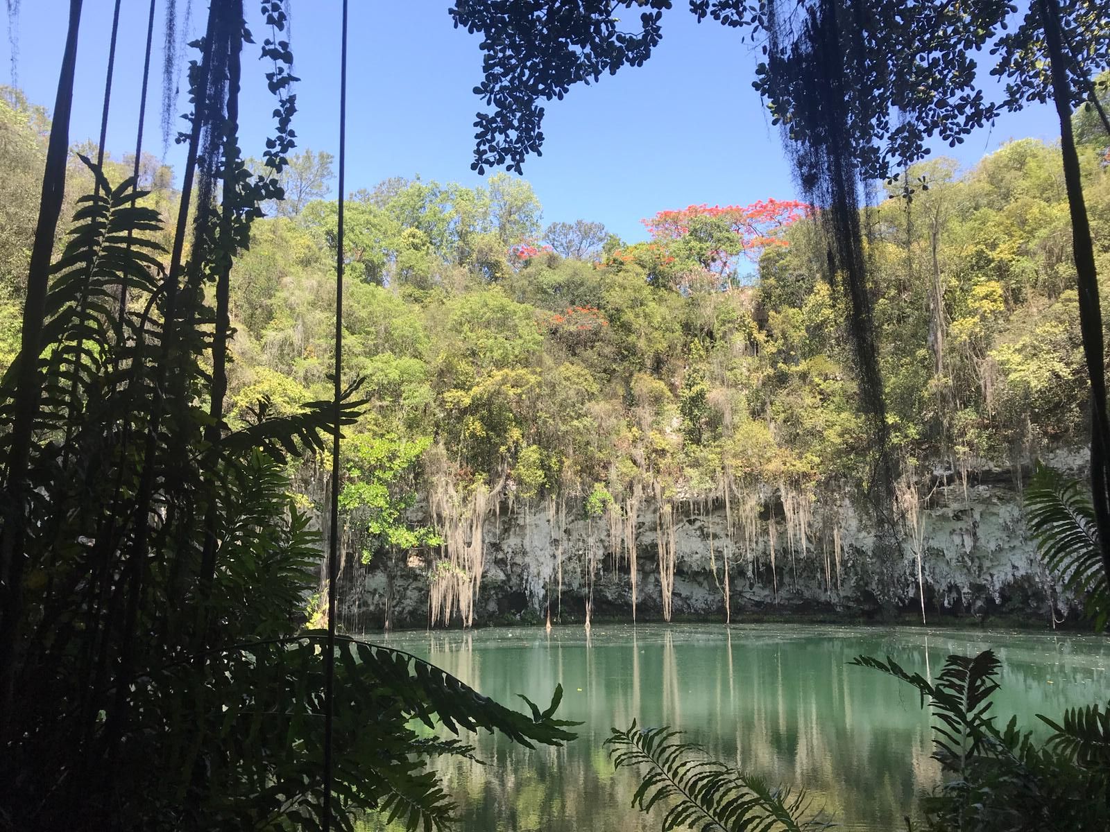 Before There Were Humans CIEE