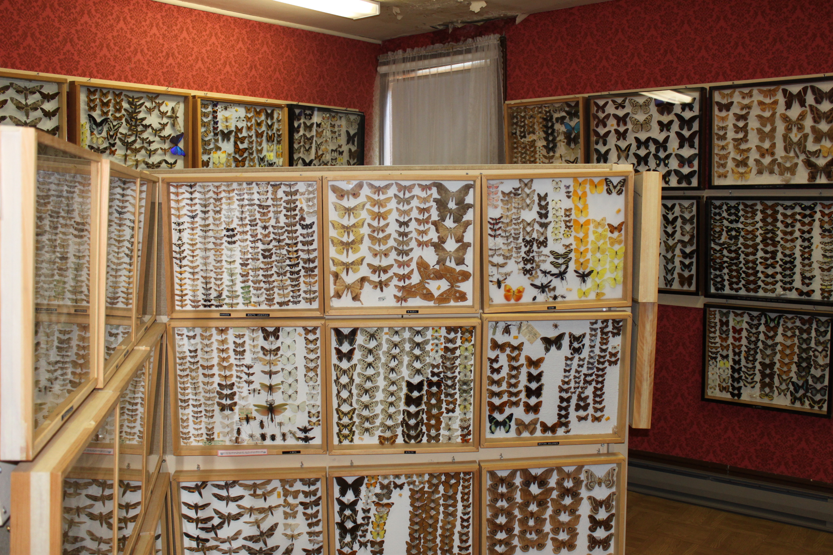 Manitoba StayCation 3 Souris, MB Cindy Roy