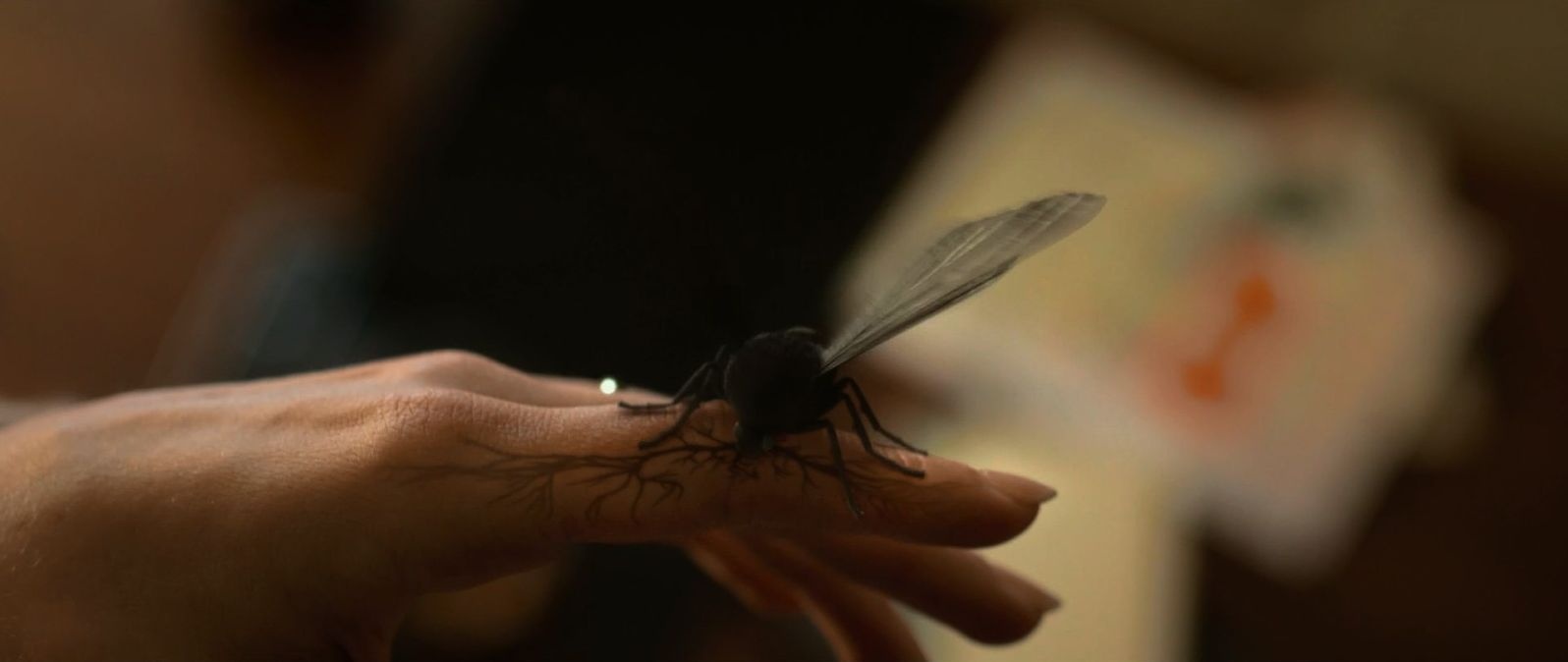 Ne t'endors pas CinéLounge