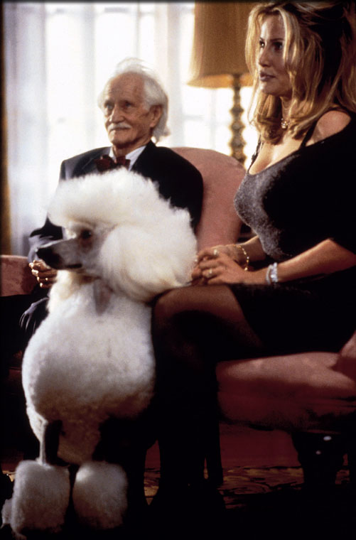 Best In Show (movie, 2000) — Actors, Trailers, Photos atelieryuwa