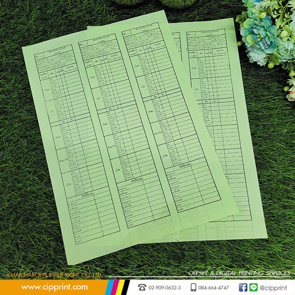 Duplicator C I P P R I N T Chaicharoen Inter Print Co., Ltd.