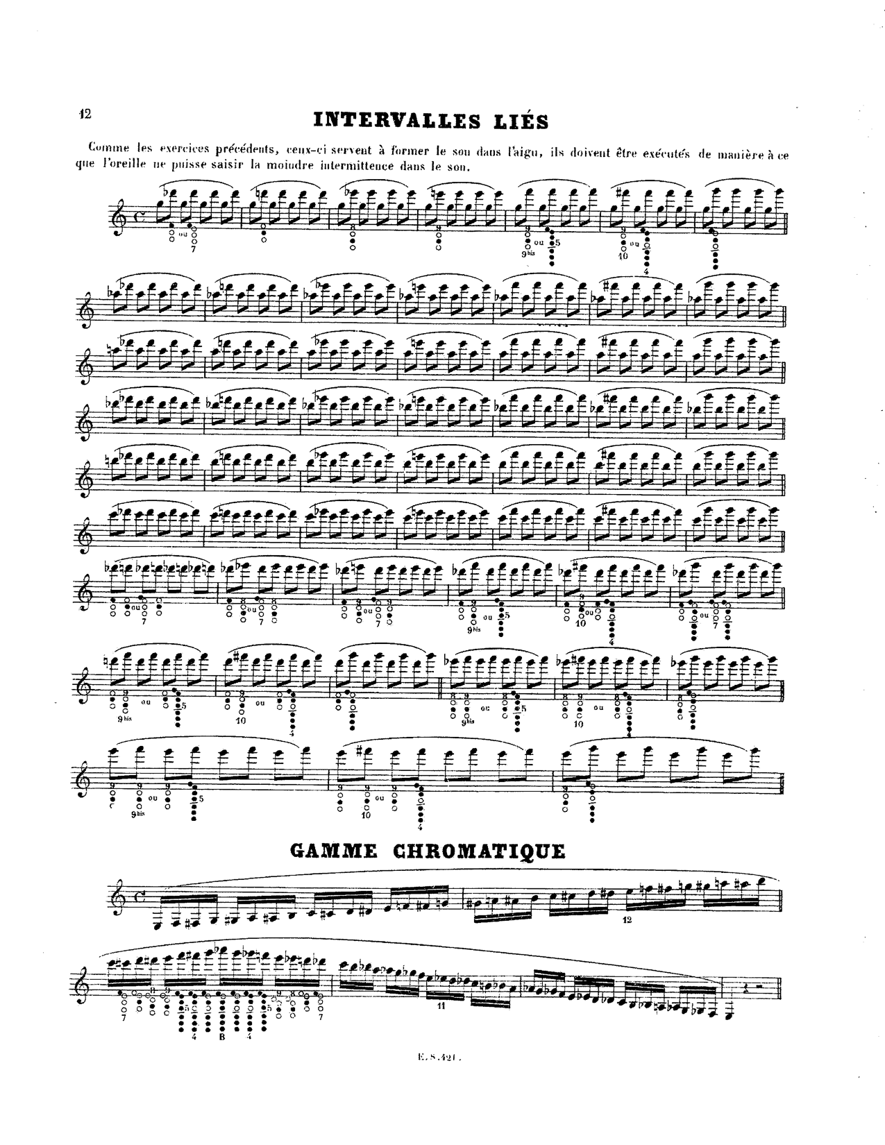 Bass Scales 12 Major Scales