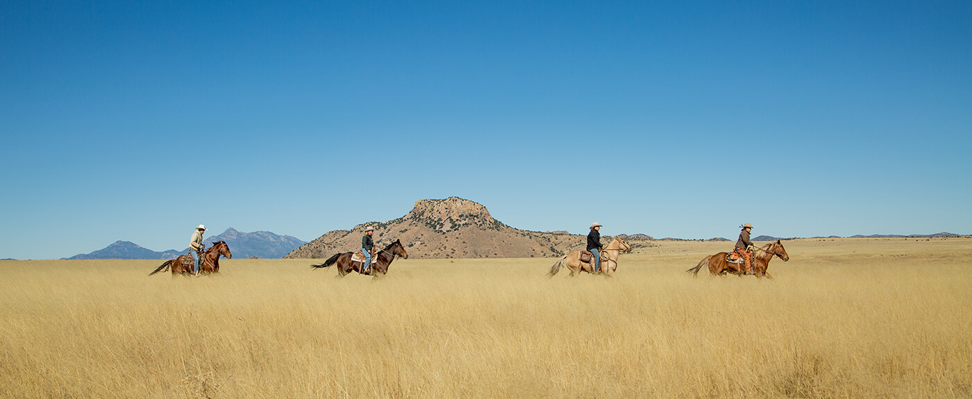 Visiting the Circle Z Ranch Circle Z Ranch
