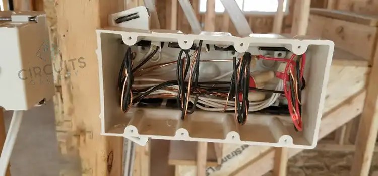 Is a Neutral a Current Carrying Conductor [Answered & Explained