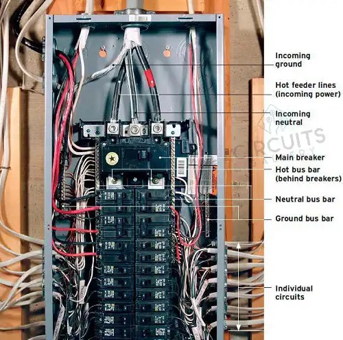 Is a Neutral a Current Carrying Conductor [Answered & Explained