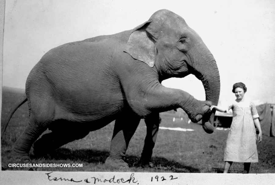 Patterson Trained Animal Circus