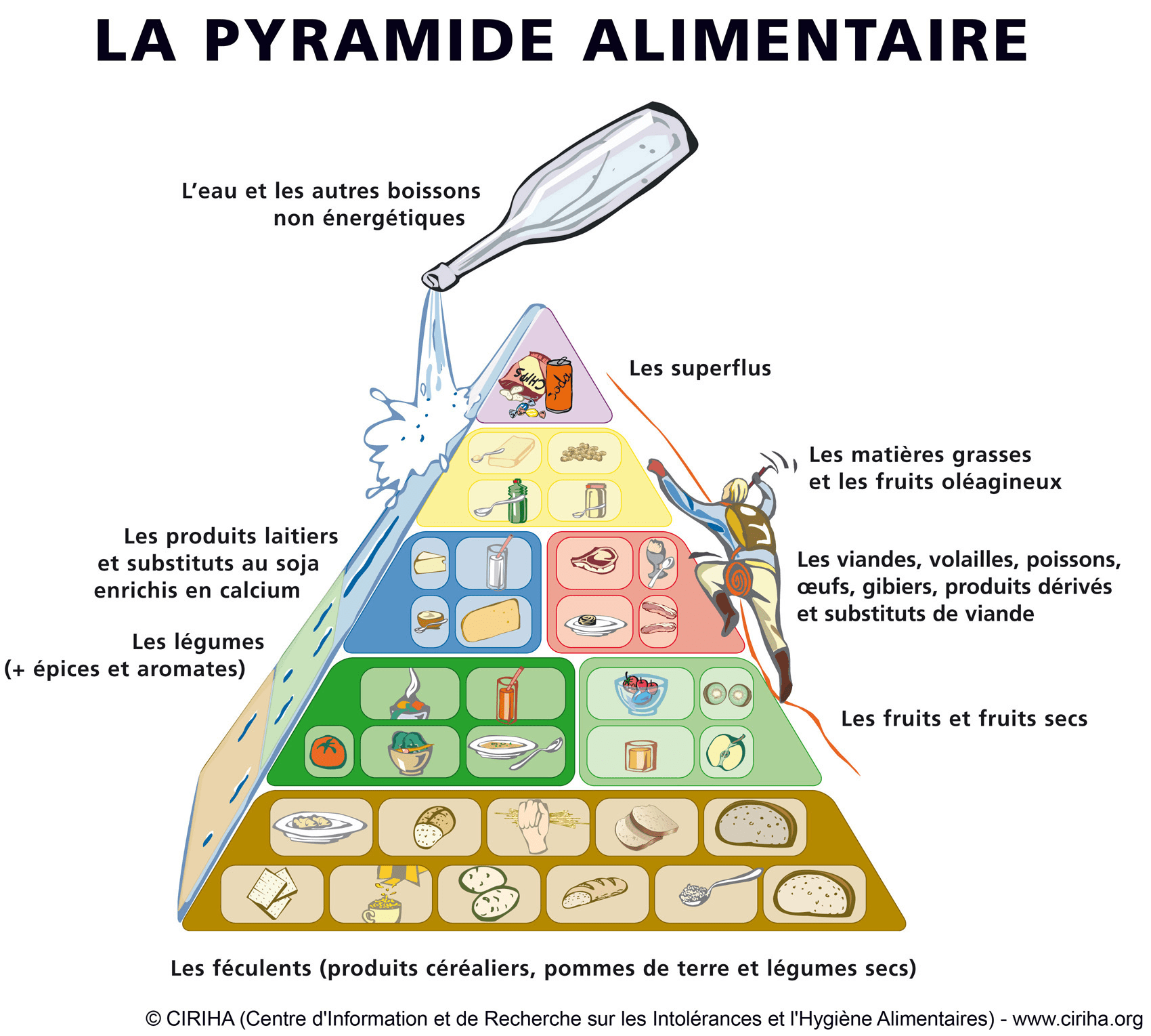 Pyramide Alimentaire