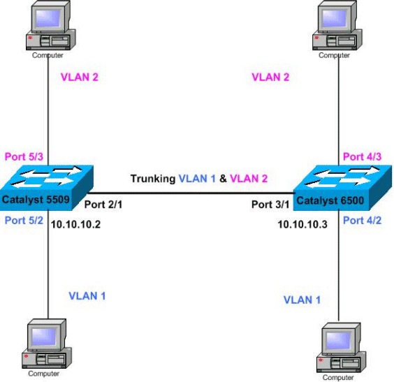 802.1Q Trunking Between Catalyst Switches Running CatOS Cisco