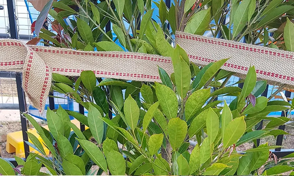 Landscape Certification What is Required?