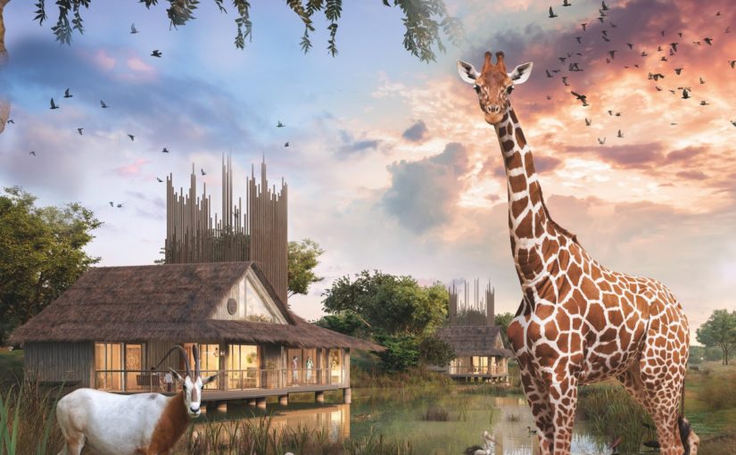 Planète Safari Lodge dormez dans la savane à Planète