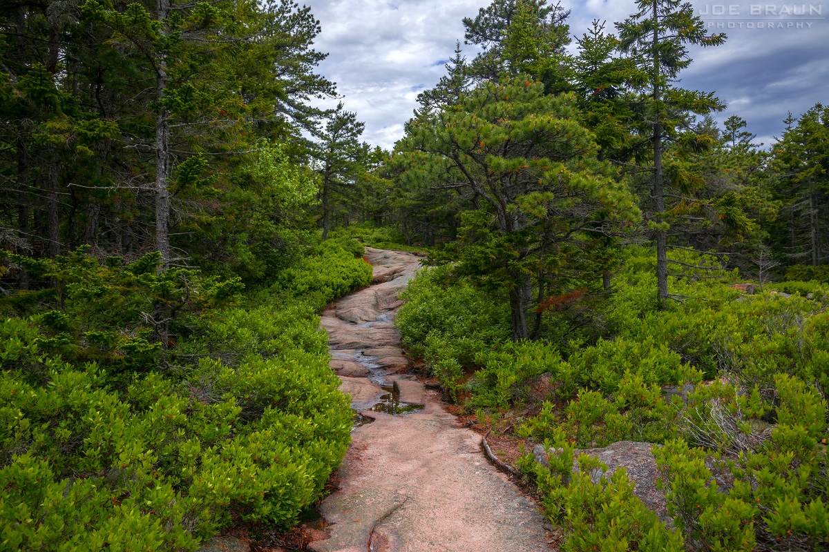 Gorham Mountain Trail Photos Joe's Guide to Acadia National Park