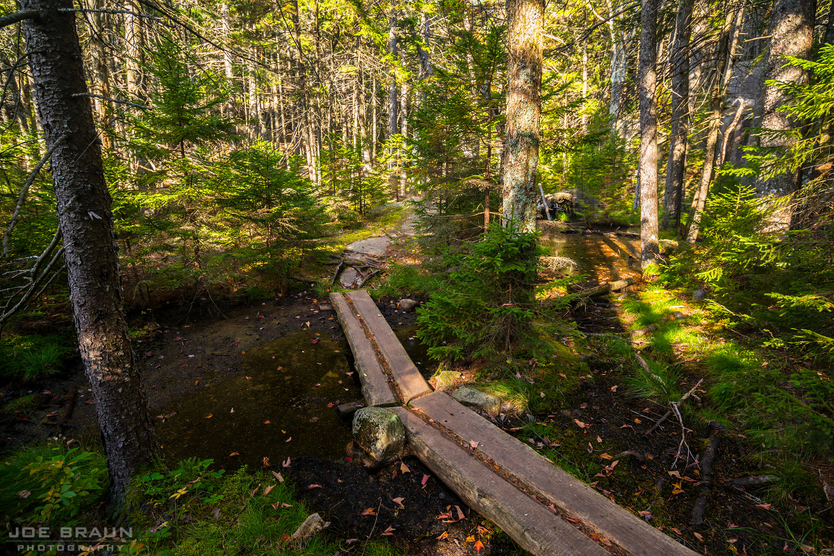 Perpendicular Trail to Mansell Mountain Photos (Page 2) Joe's Guide