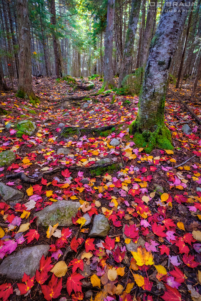 Joe's Guide to Acadia National Park Long Pond Trail and Great Notch