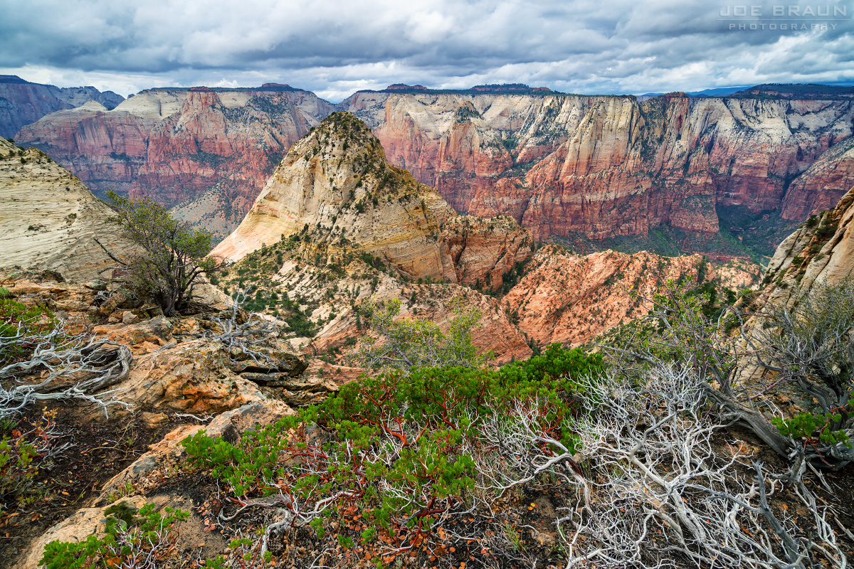 Joe's Guide to Zion National Park Deertrap Mountain