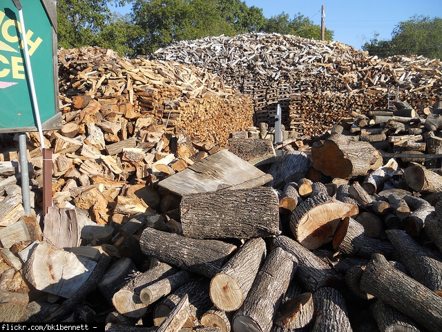 Cord of wood average price? (Lancaster, Penn purchasing, live, law