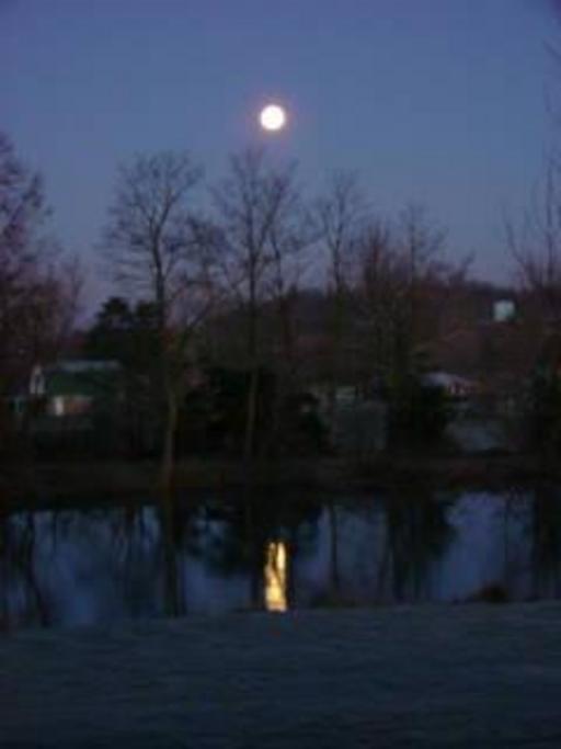 Pomeroy, Ohio Teaford Real Estate Business Profile Photo at