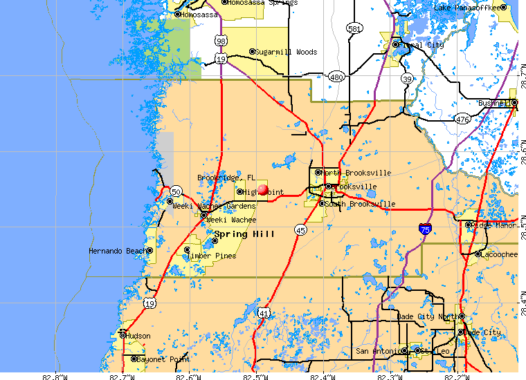 Spring Hill Florida Map