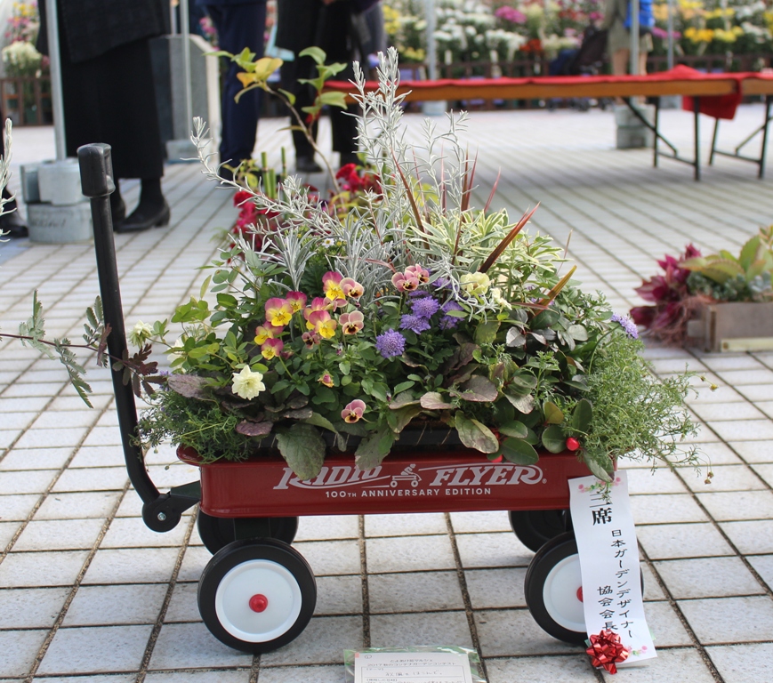 コンテナガーデンのインテリア実例 ｜ Roomclip（ルームクリップ） 秋のコンテナガーデンコンテスト/豊明市