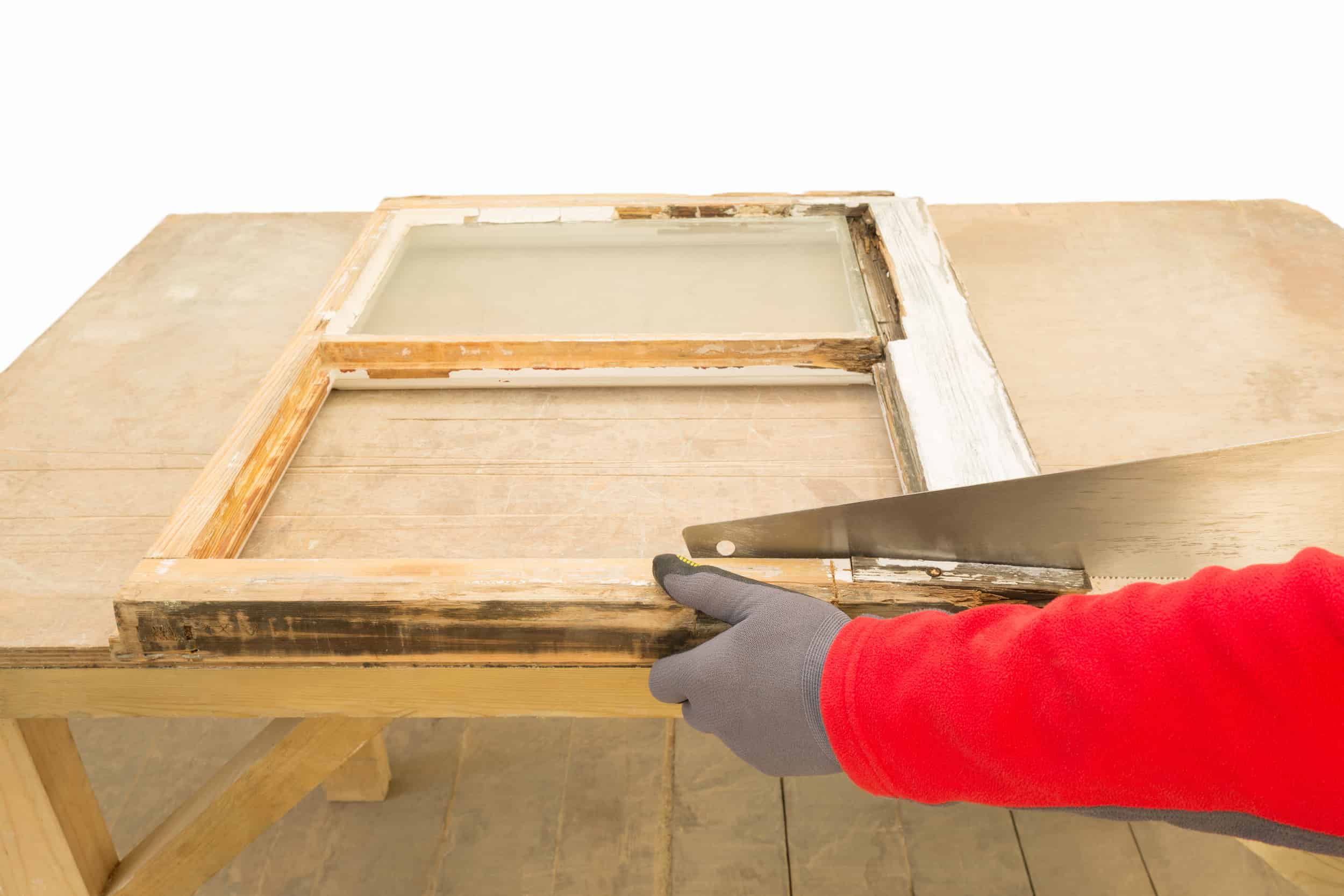 How To Prevent Dry Rot In Your Home? Citylets blog
