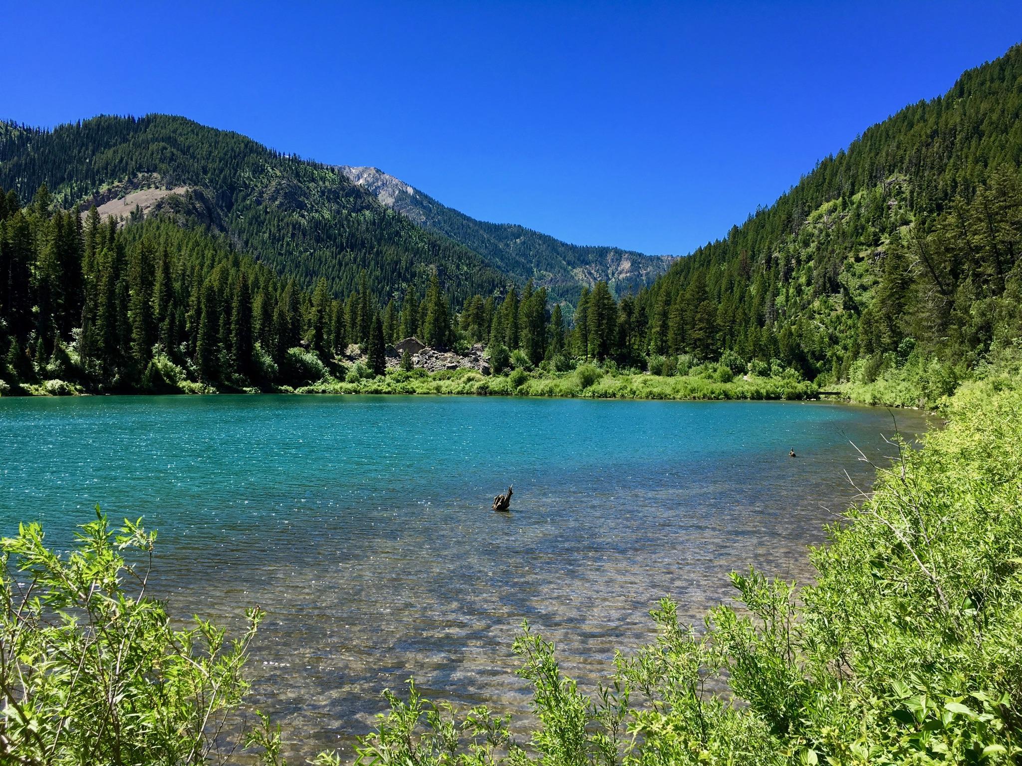 Properties For Sale In Swan Valley Idaho at Aaron Ennis blog