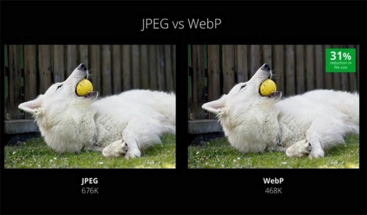 Qué es P y por qué es mejor que PNG, JPG y GIF