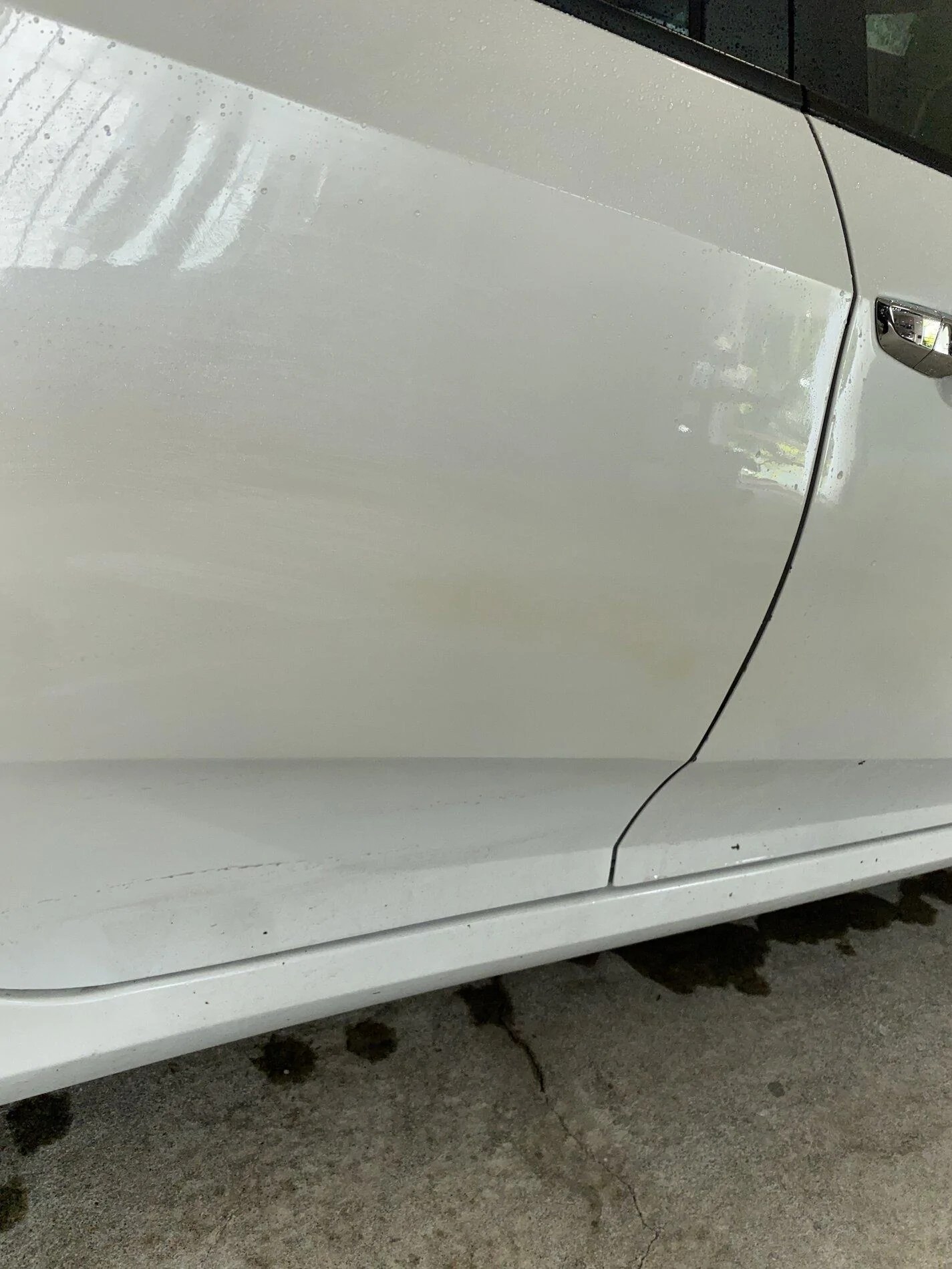 orchid white pearl paint yellowing? 2016+ Honda Civic Forum (10th Gen