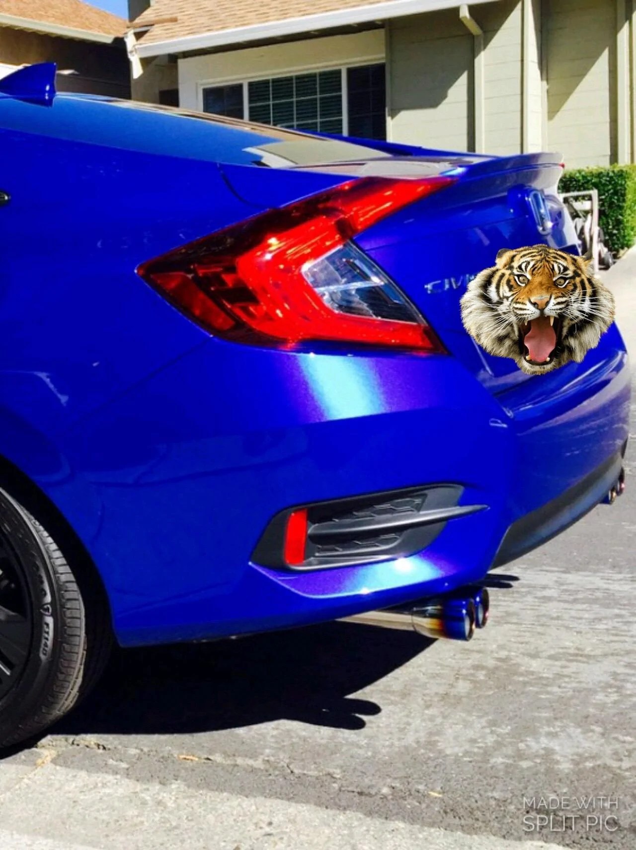 Honda Civic Loud Exhaust