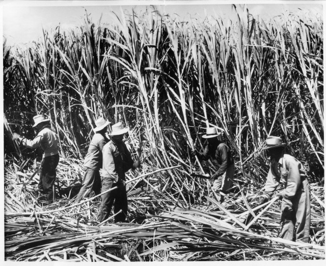 With Our High Cost Of Living, Plantation Days Don't Seem So Long Ago With Our High Cost Of Living, Plantation Days Don't Seem So Long Ago