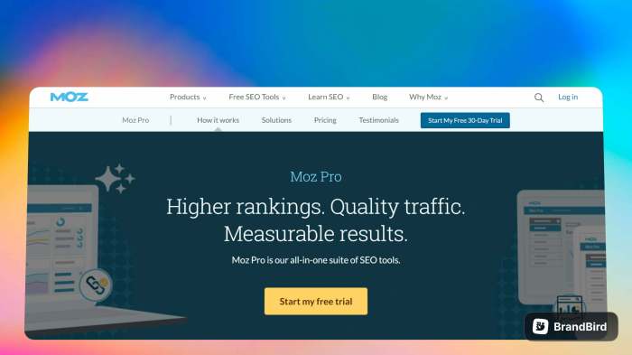 SEO Cost: How Much Should You Pay For SEO For Your Small Business In 2022 SEO Cost: How Much Should You Pay For SEO For Your Small Business In 2022