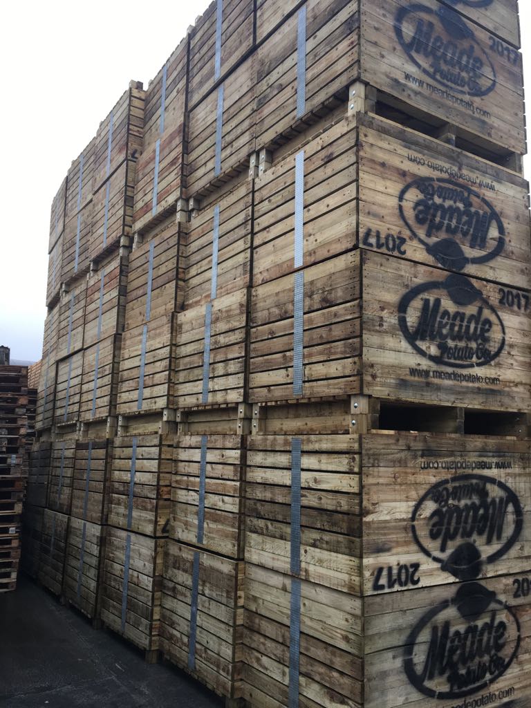 Potato Boxes CJ Sheeran