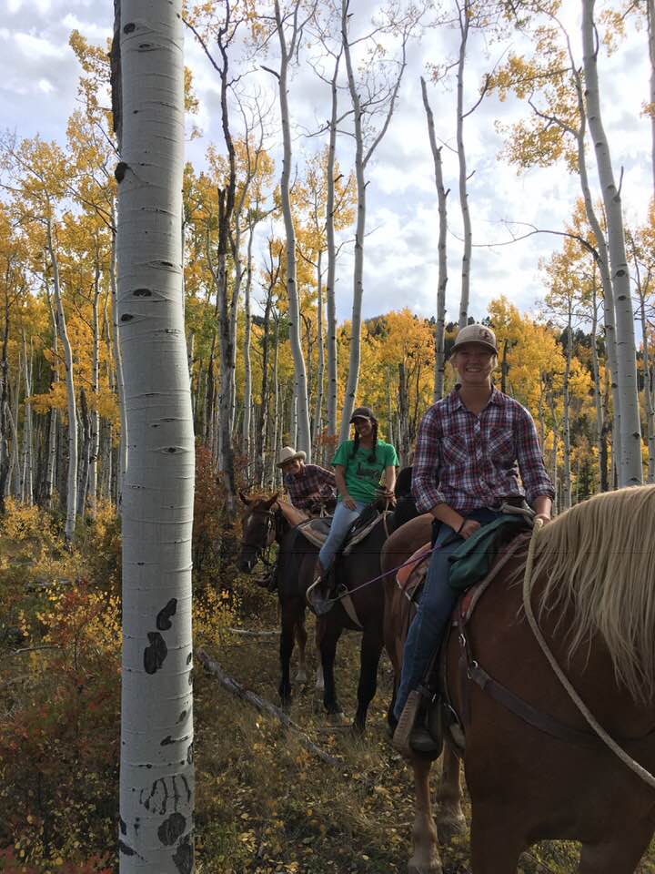 Premier All Inclusive Circle K