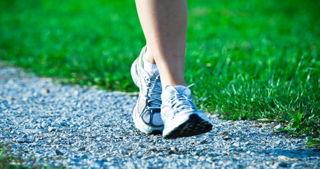 Elementary Runners Speed Through LKESAA Meet ChathamKent Sports Network