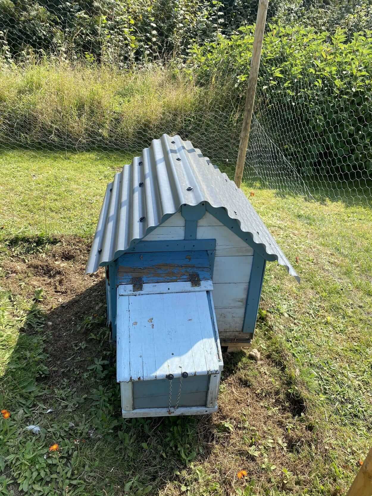 Chicken Coop made from Cladco Roofing sheets