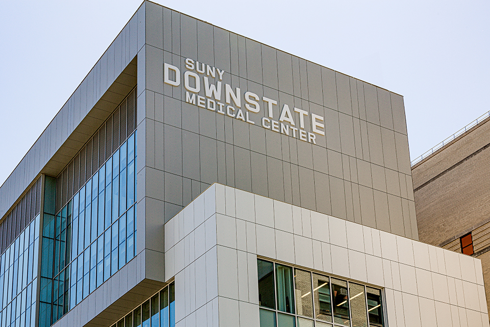 SUNY Downstate Brooklyn, NY Cladding Corp
